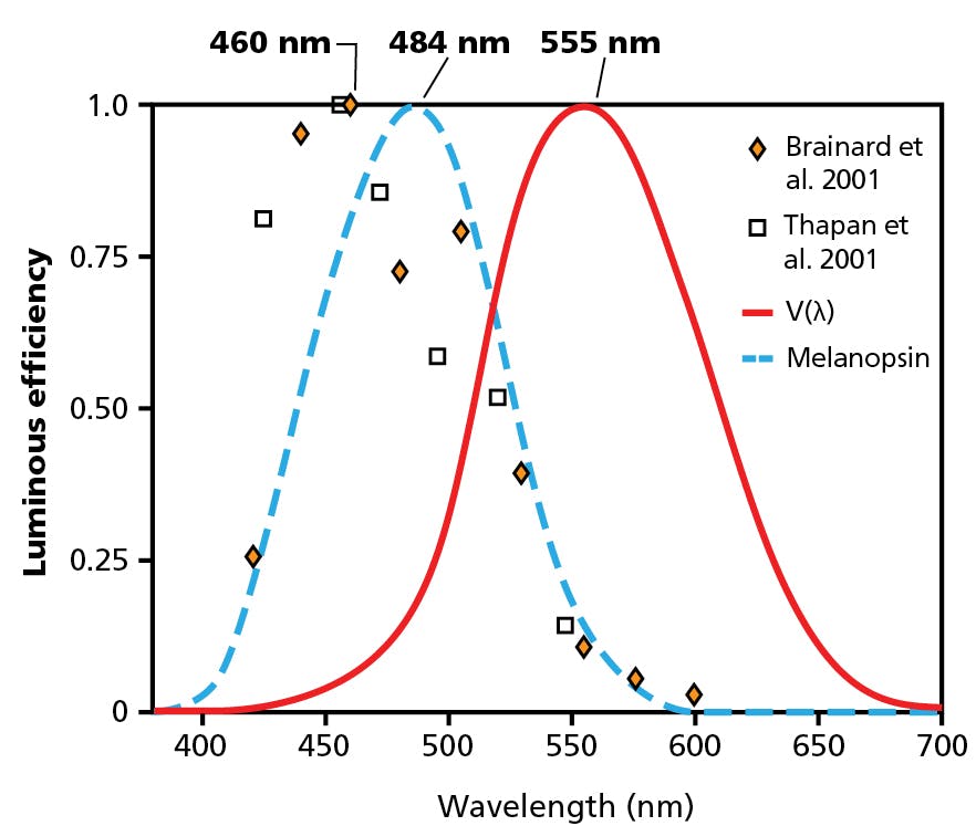 Nocturnal melatonin suppression to narrowband light sources from two independent studies [8,9] shows a peak sensitivity at approximately 460 nm. Also shown are the photopic luminous efficiency function peaking at 555 nm and the action spectrum for melanopsin peaking at approximately 480 nm. [Image credit: Illustration courtesy of Mark Rea, the Lighting Research Center (LRC).]