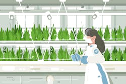 677eb9b958ec89073583b994 Dreamstime 137490193 Converted 677eb9b958ec89073583b994 Dreamstime 137490193 Converted