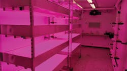Grocer uses LED horticultural lighting for store-grown produce Grocer uses LED horticultural lighting for store-grown produce