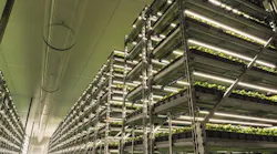 Understand energy efficiency of LED horticultural lighting systems