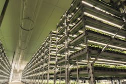 Understand energy efficiency of LED horticultural lighting systems Understand energy efficiency of LED horticultural lighting systems