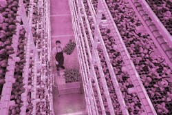 Science advances in matching LED lighting to horticultural needs (MAGAZINE) Science advances in matching LED lighting to horticultural needs (MAGAZINE)
