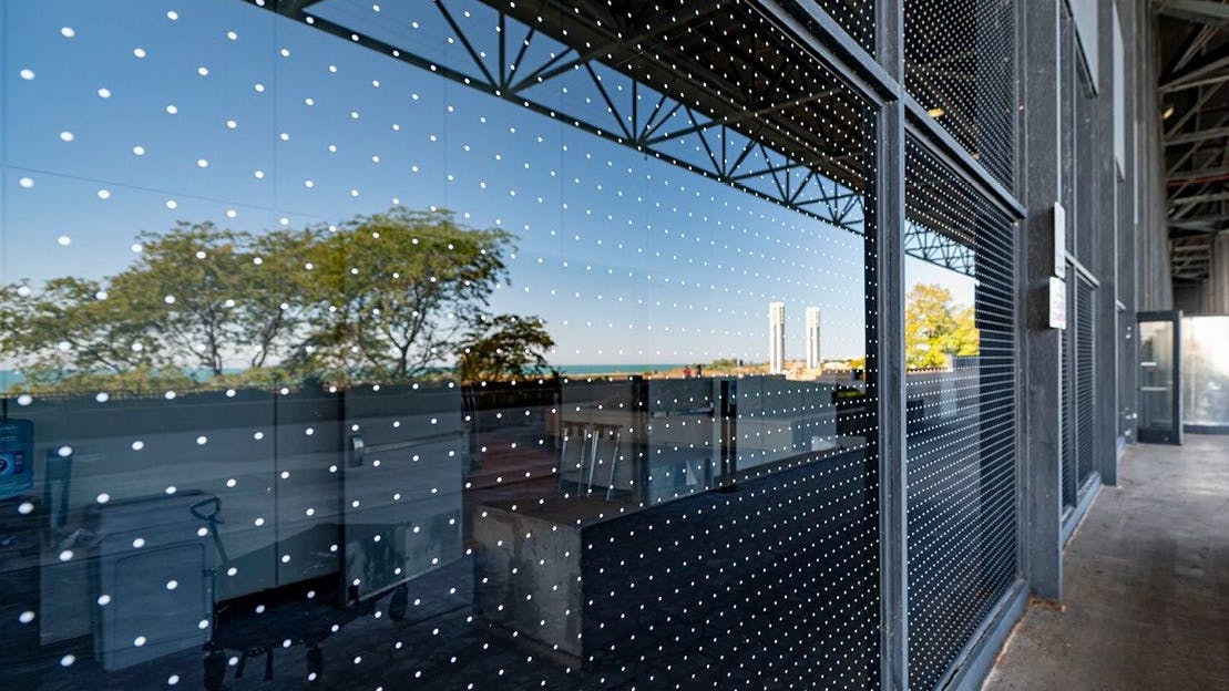 feather_friendly_evolution