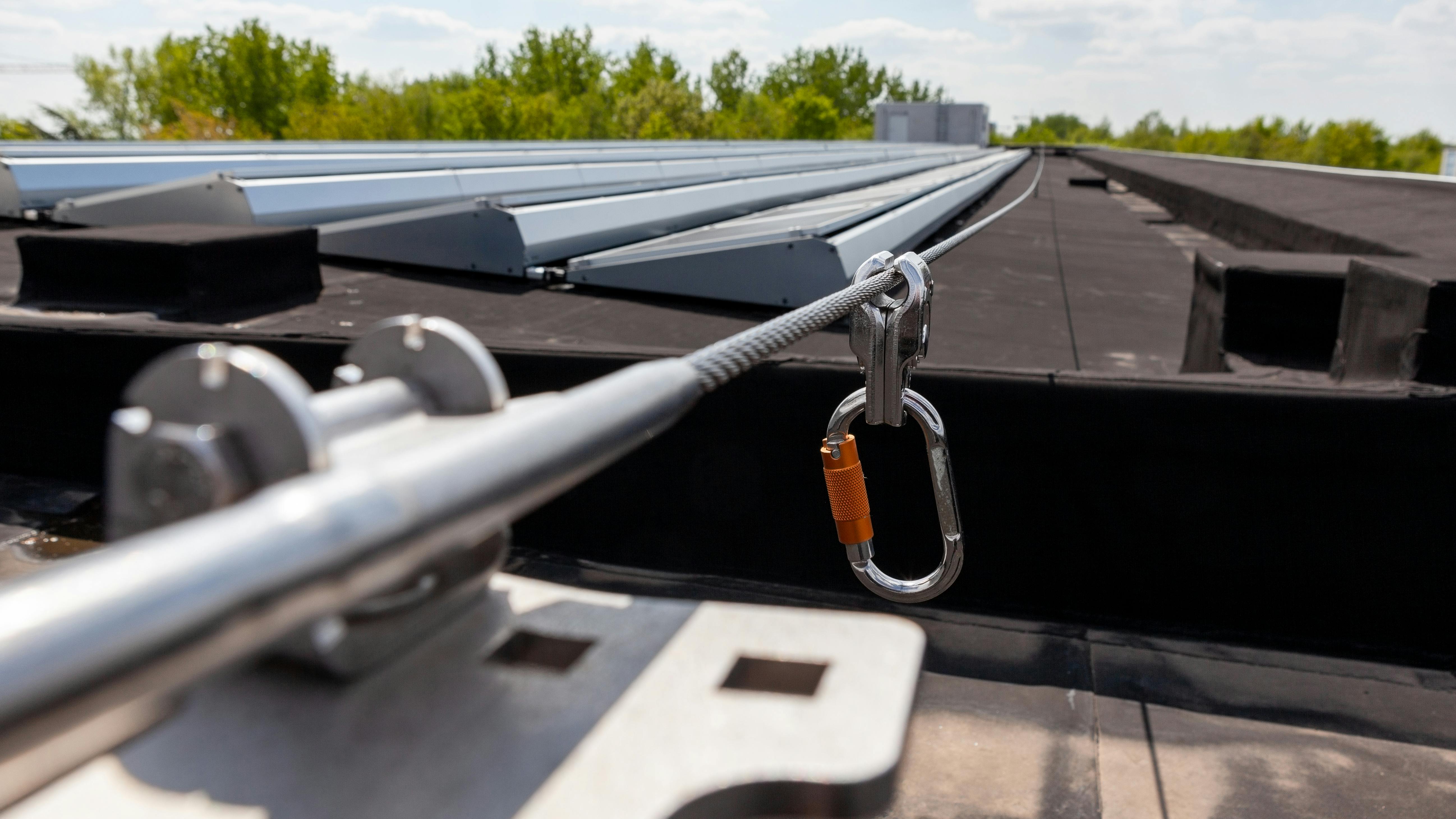 6835ebd2fc043e6135501231 Dreamstime Xxl 260410977