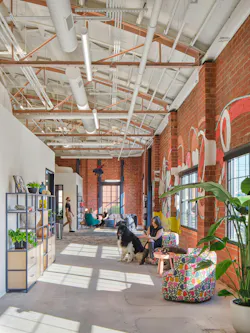 The Gardner Skelton adaptive reuse project is a blend of honoring the past while creating an intentional, creative space. Little Diversified Architectural Consulting wanted to keep as much of the past as possible while creating areas of intention. Here, the floor shows how it’s had a past life, trusses remain exposed and painted pink, windows were enhanced to bring in natural light, and a carpet weaves through the area.