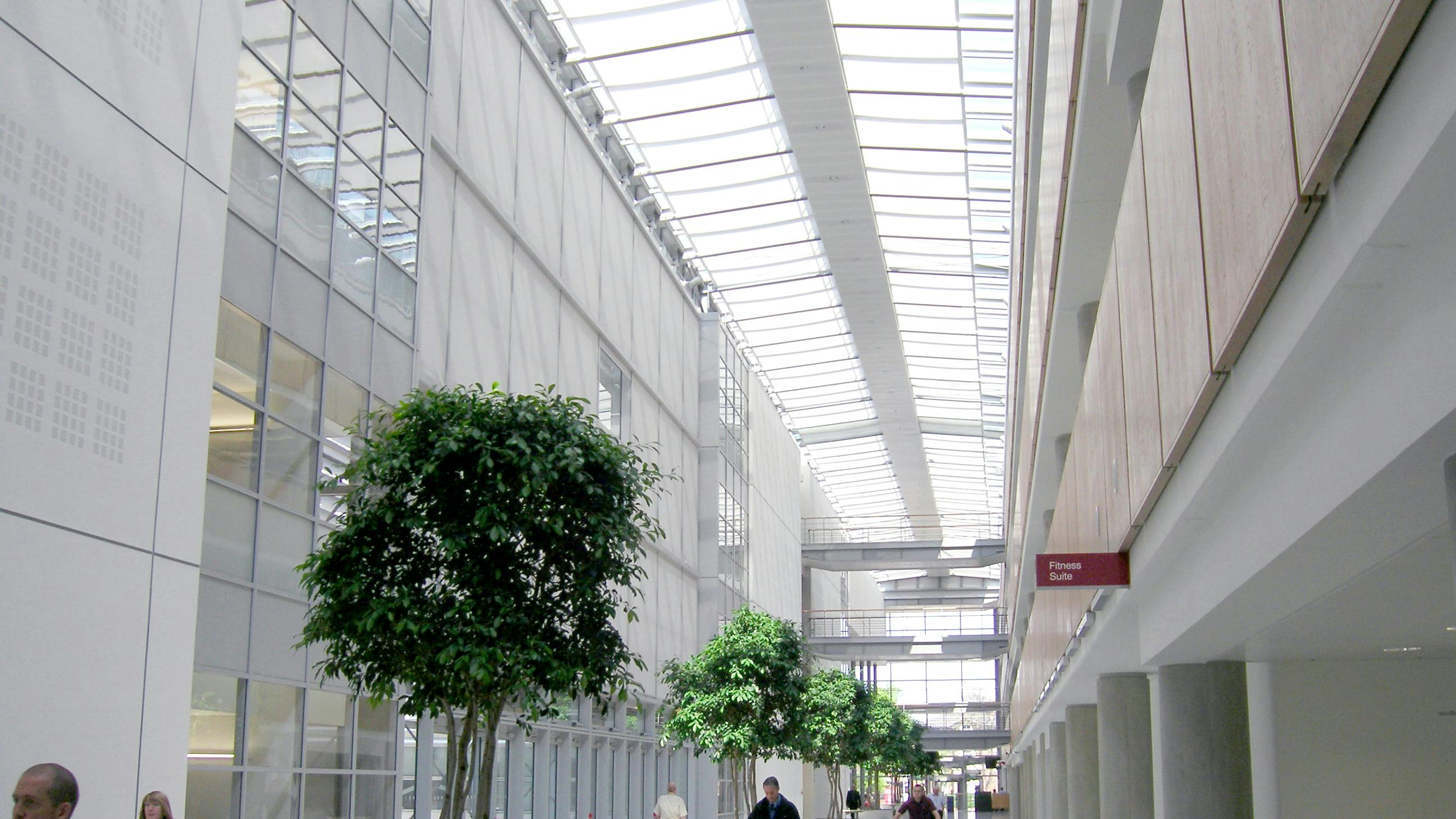 draper__tensioned_shades