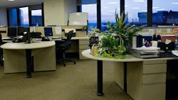 68ee983805af8b82fd6d4e98 Dreamstime Xxl 3821947 68ee983805af8b82fd6d4e98 Dreamstime Xxl 3821947