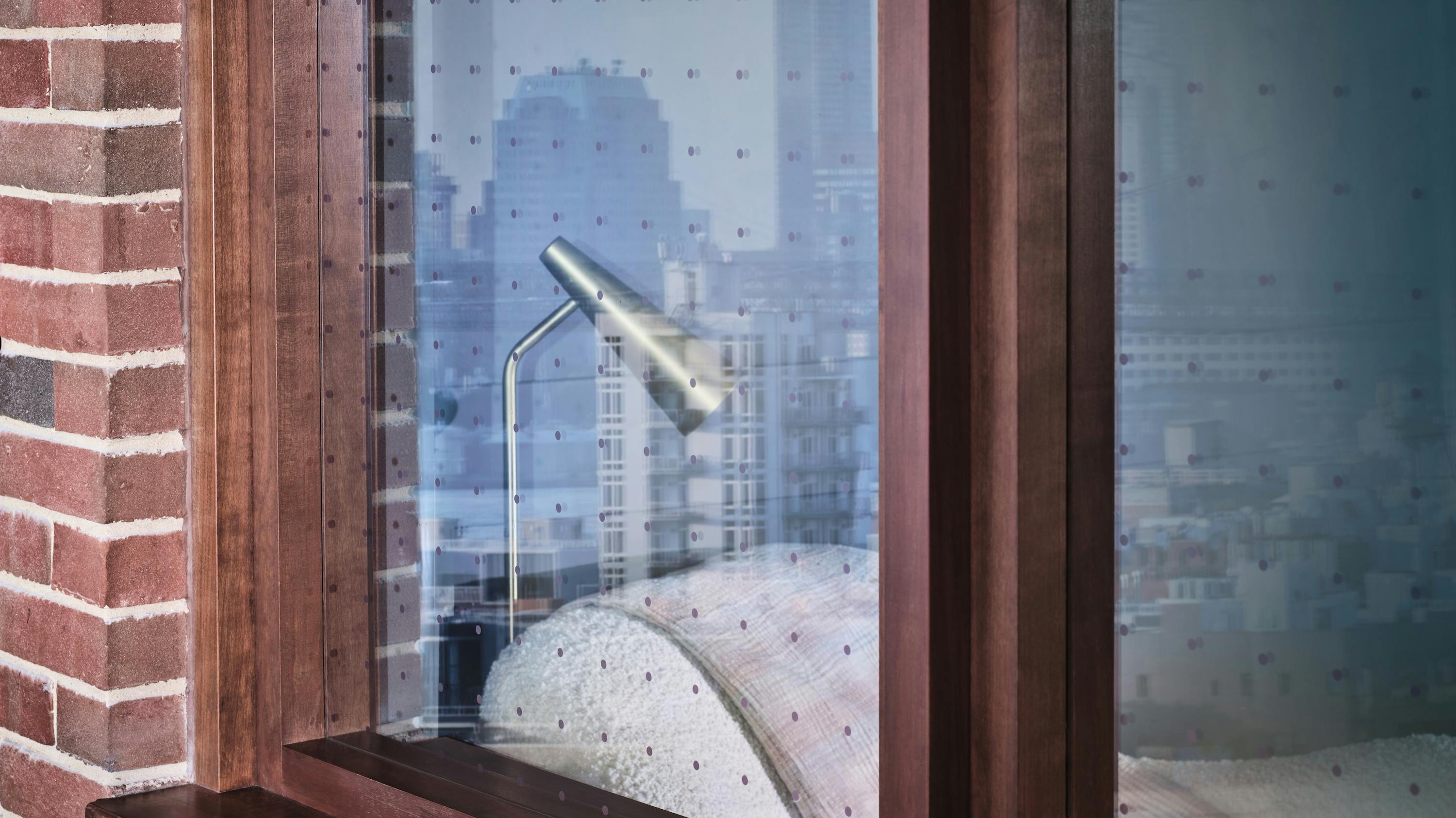 avery_dennison_graphics_solutions_skyway_bird_film