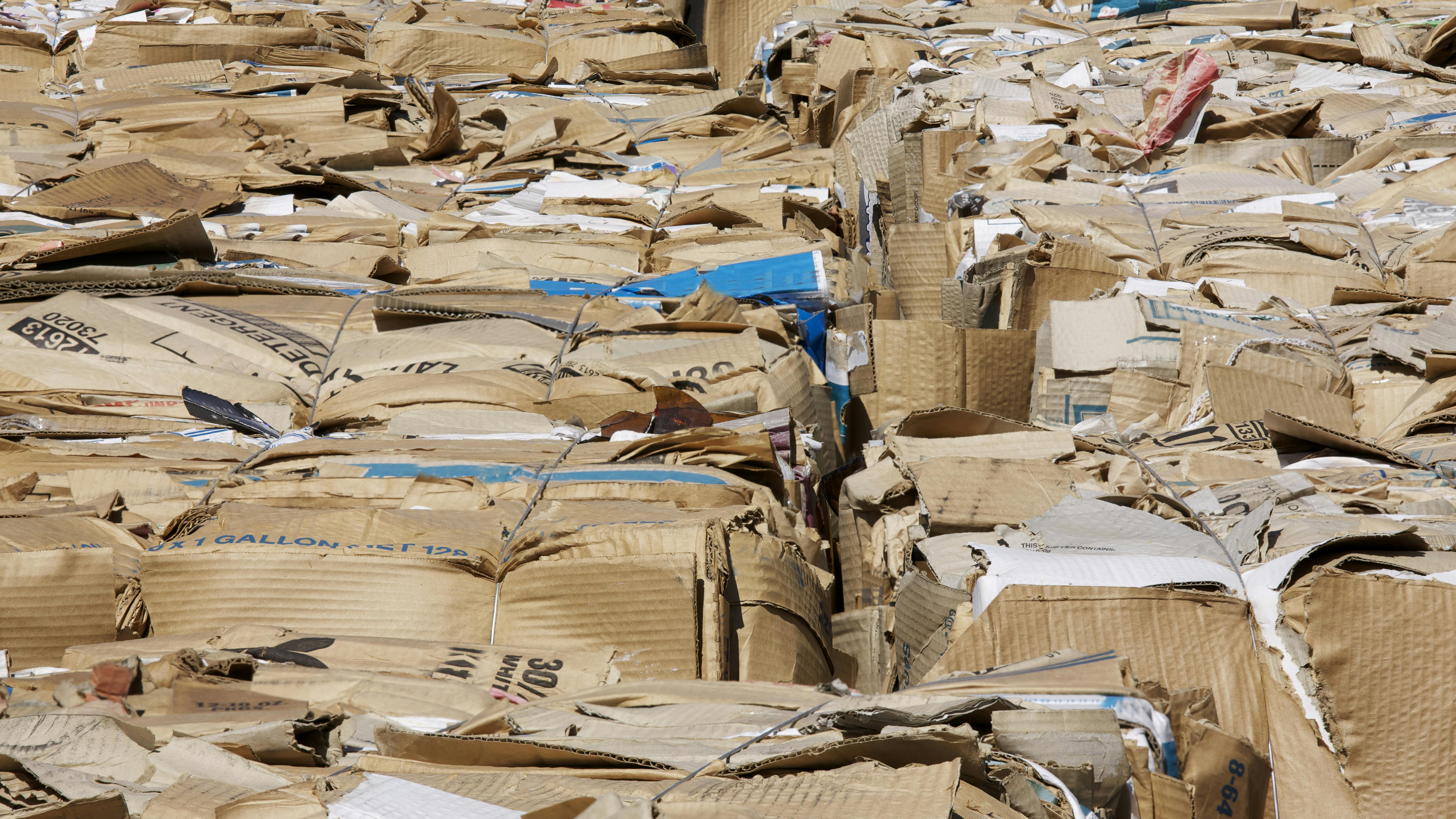 Ready to profit from your recyclables? Reap maximum profit by filling a truck with them.