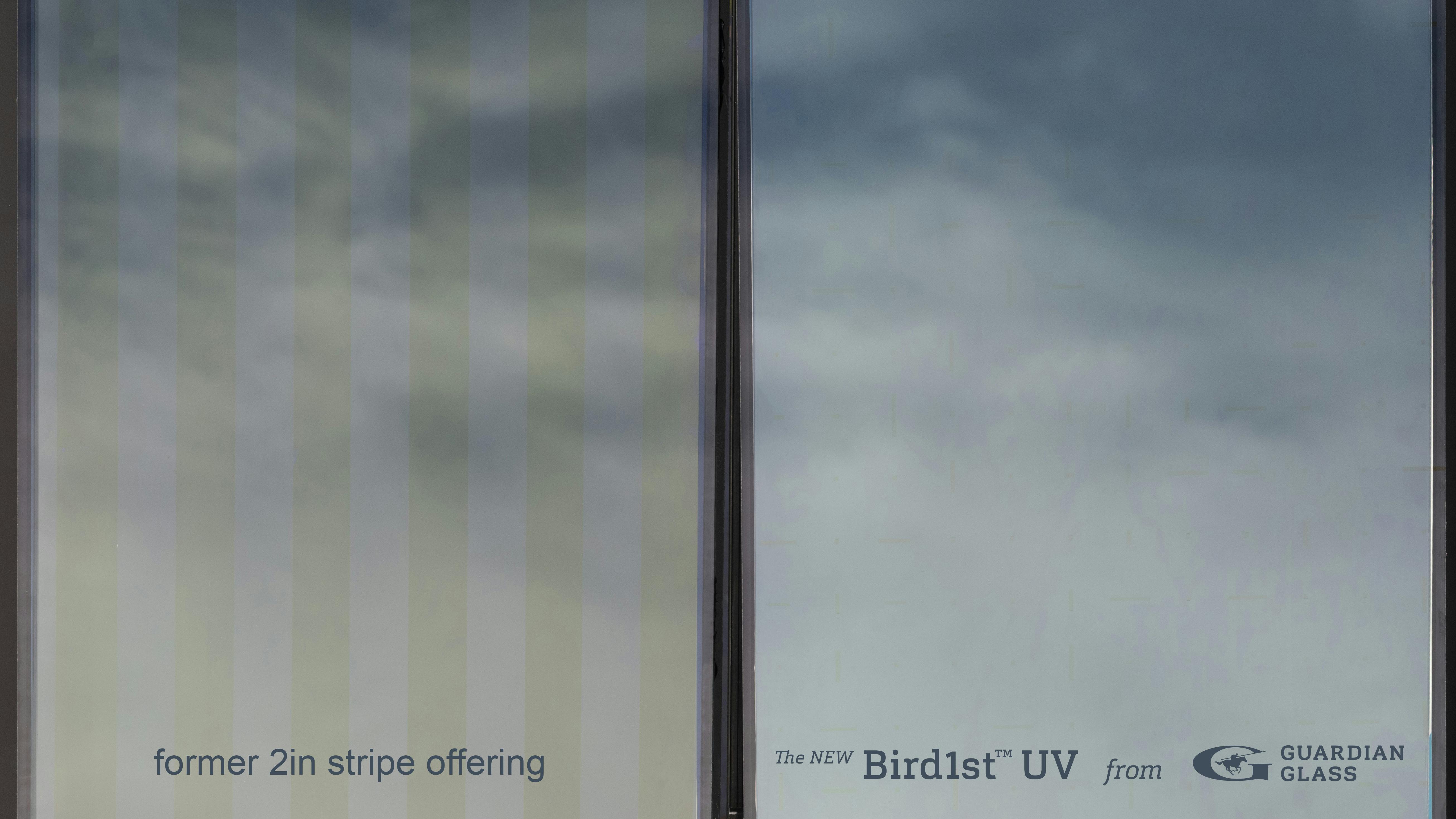 guardian_glass__bird1st_uv_glass