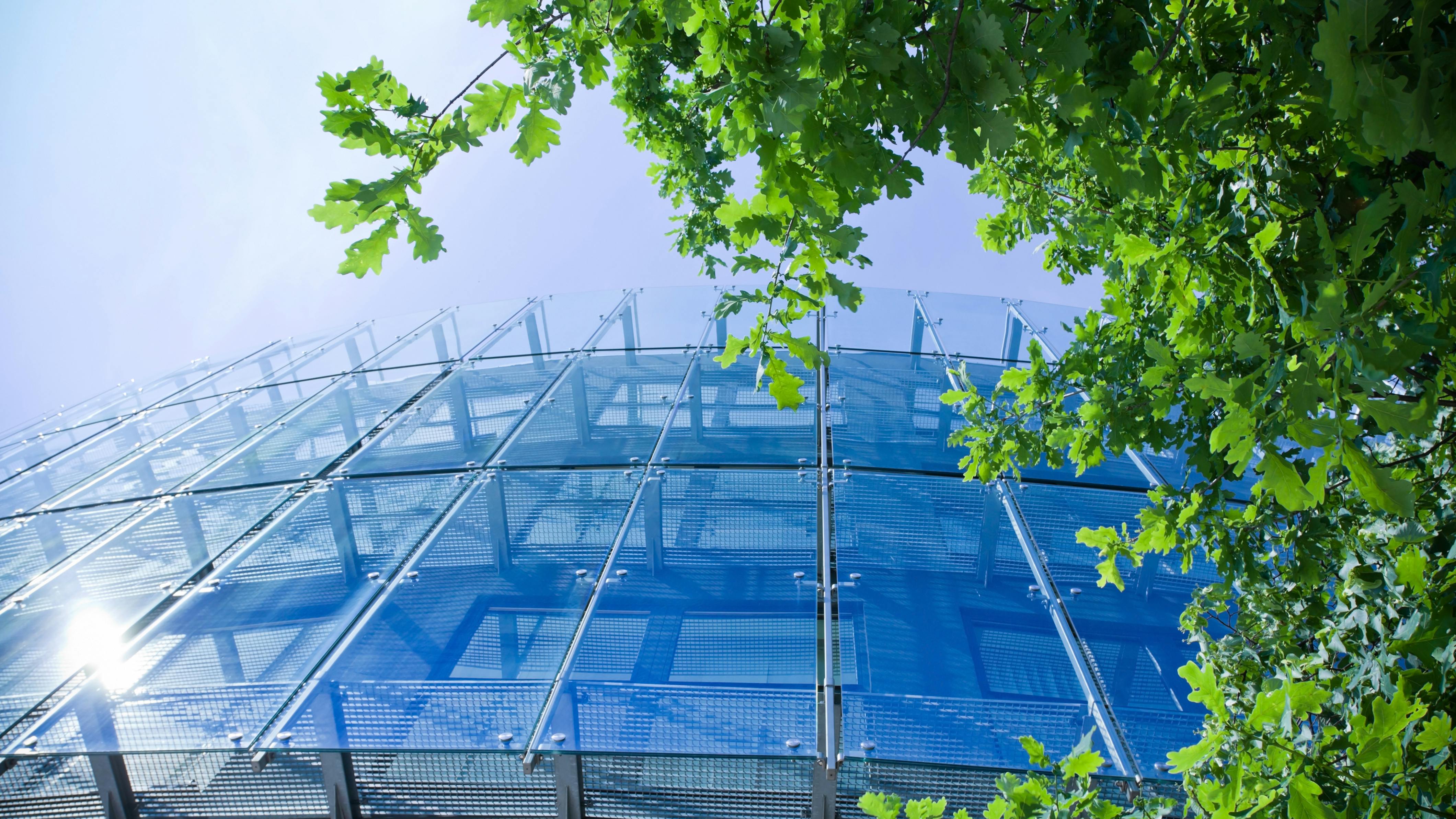 dreamstime_xxl_19666650