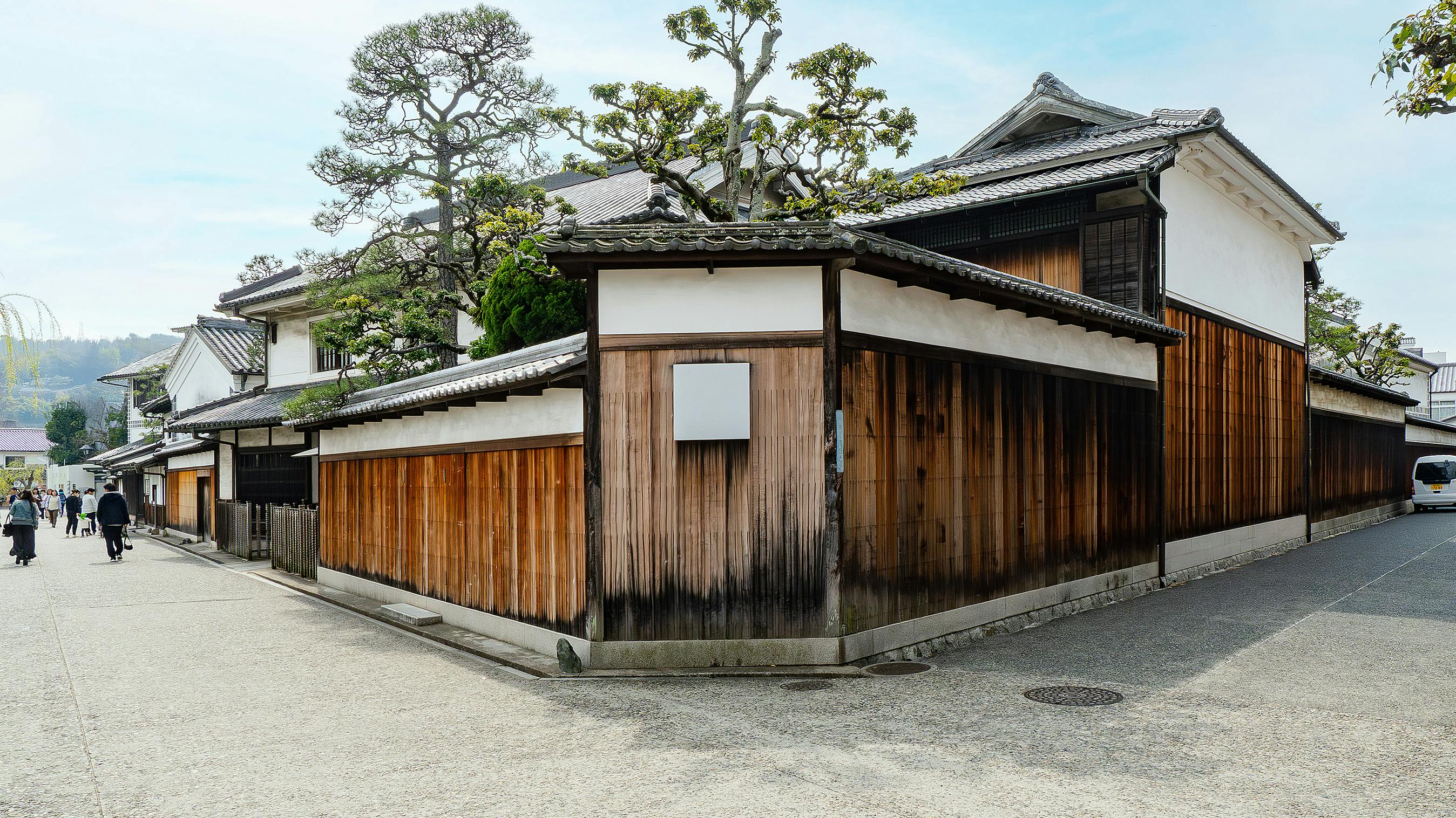 nakamoto_forestry_cvg_sugi_4