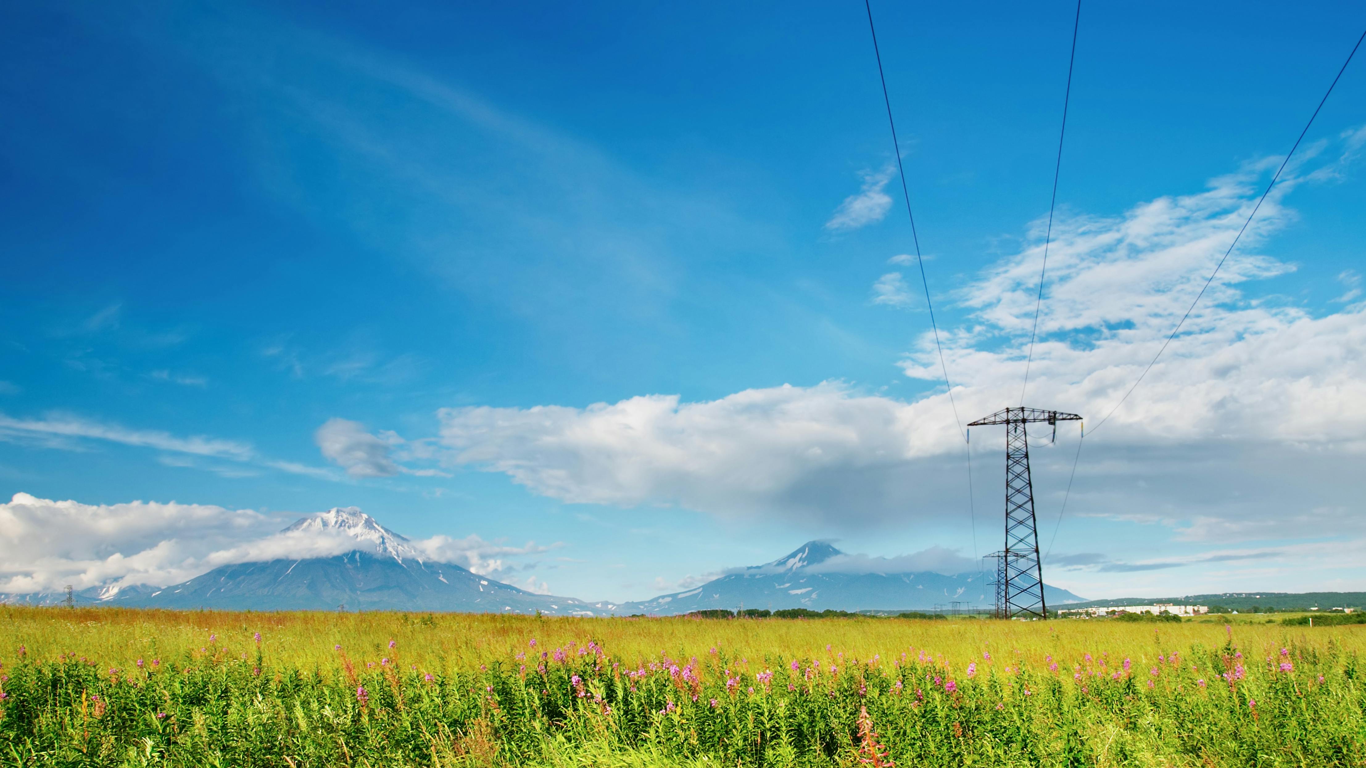 dreamstime_xxl_4369178