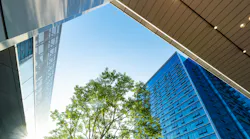 Tree surrounded by tall commercial buildings.
