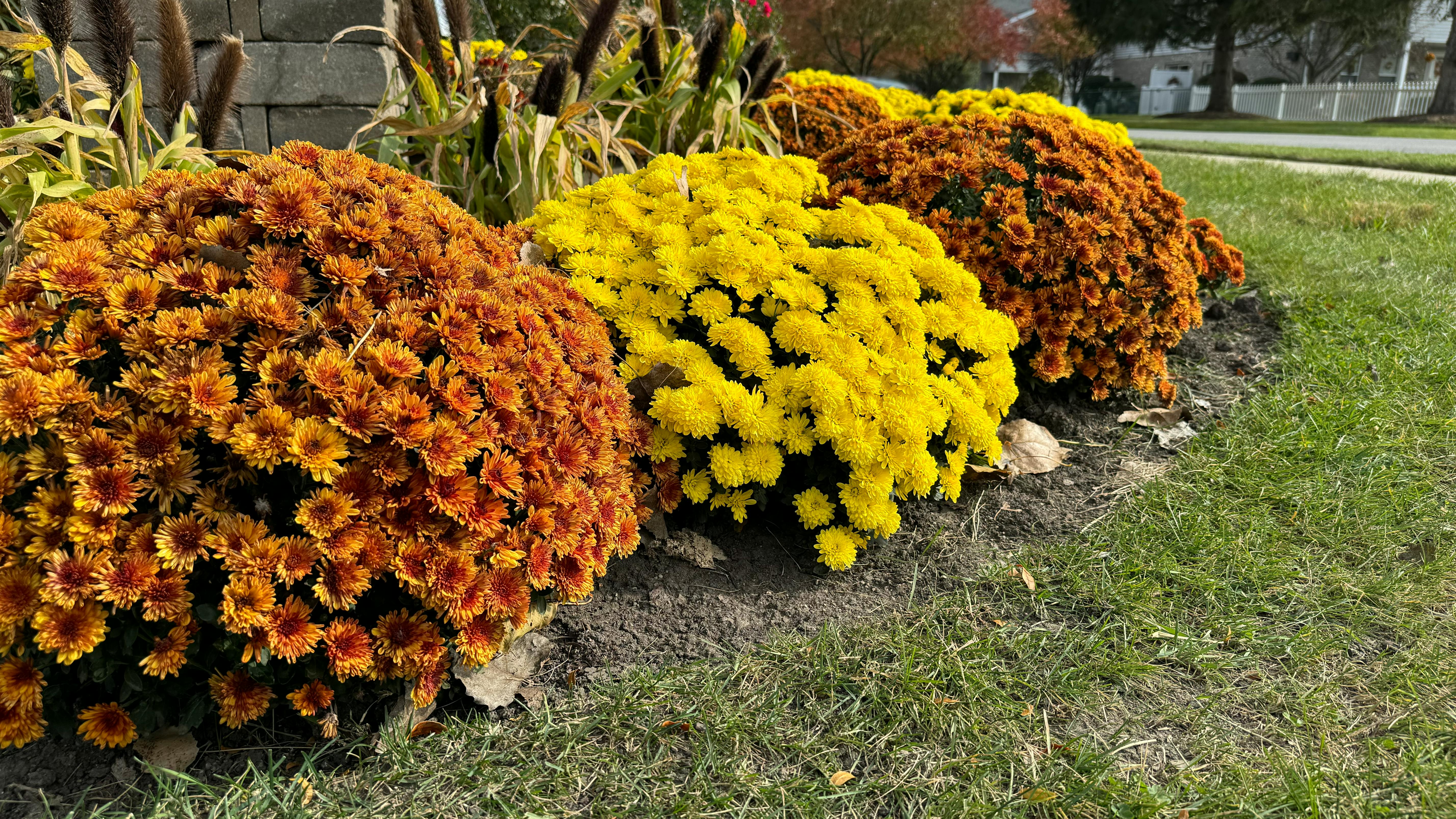 Are your grounds ready for summer?