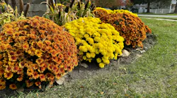 Are your grounds ready for summer?
