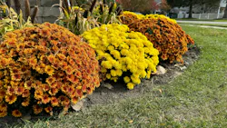 Are your grounds ready for summer? Are your grounds ready for summer?