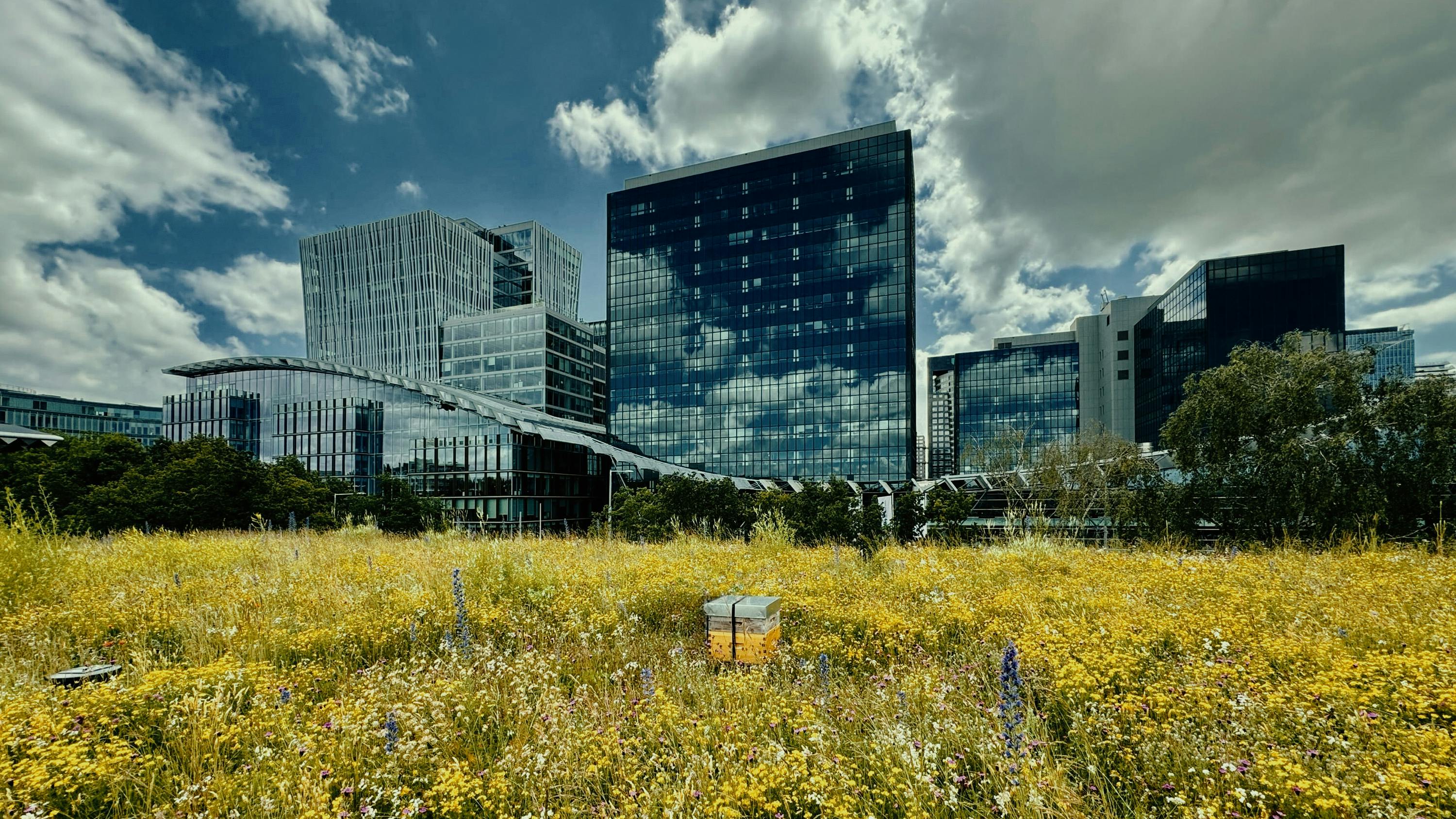 Honeybee hives can be placed in many of your property&rsquo;s green areas, from a vegetated roof to a landscaped terrace or ground-level courtyard.