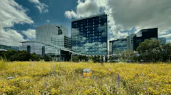Honeybee hives can be placed in many of your property’s green areas, from a vegetated roof to a landscaped terrace or ground-level courtyard.