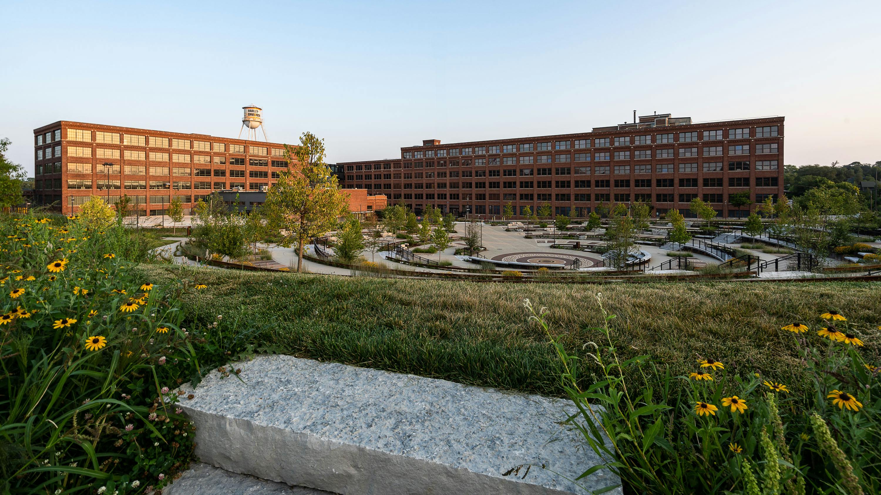 Looking down into &ldquo;The Hub,&rdquo; visitors walk on permeable paving and can enjoy expanded green space that allows water to infiltrate the ground directly. These sustainable strategies controlled onsite and downstream flooding while fulfilling a community need for a safe community space.