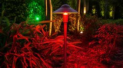 amp_iq_path_lights_300dpi