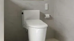 6a98aaae2b49ce64a718b391 Duravit Sensowash Arcova 1