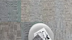 6adf9e3ea69c57f98ef13a21 Shaw Contract Simply In Motion Carpet Tile