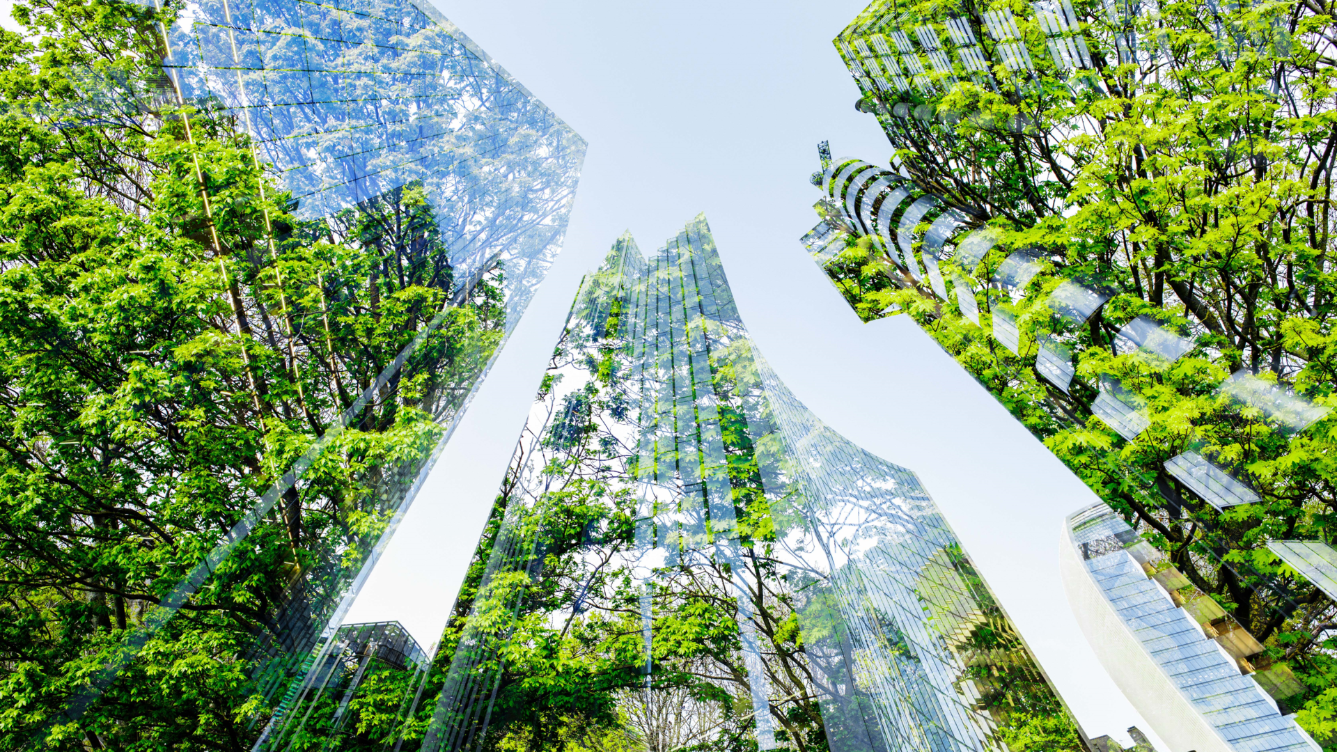 https://img.buildings.com/files/base/ebm/smartbuildingstech/image/2023/10/schneider_electrics_new_research_shows_that_digital_and_electric_solutions_can_cut_carbon_emissions_in_office_buildings_by_up_to_70_jpg_edited_edited.651c59b738d12.png?auto=format%2Ccompress&w=320